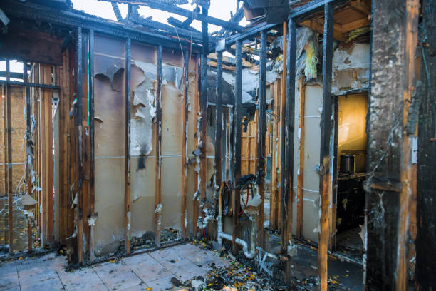 Professional Fire Damage Assessment technician working in Riva, MD